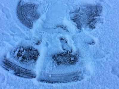Image of Year 3 Snow Angels